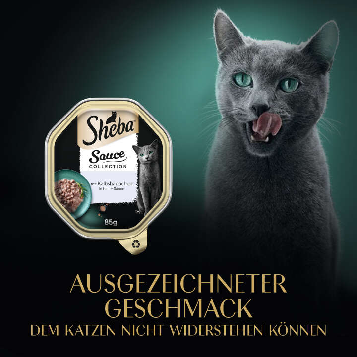 Sheba Katzen-Nassfutter Sauce Collection Kalbsfleisch in heller Sauce